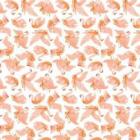 dsSTELLA_DRR3168 WHITE